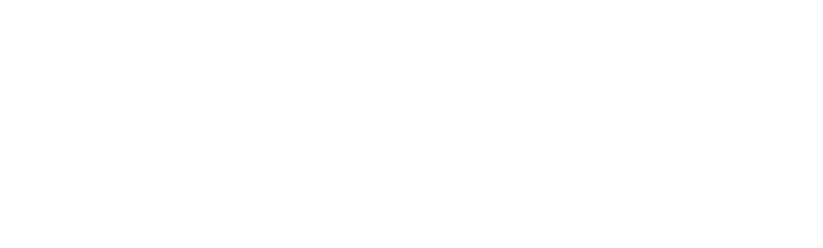 Visdom